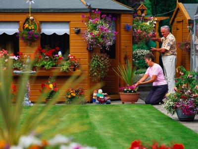 Plant gardening